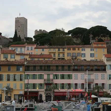 Palm D'azur