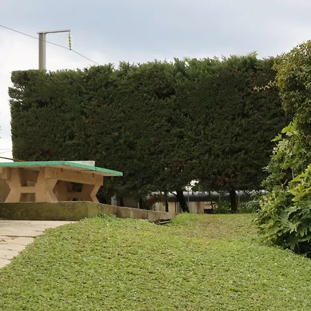 Apartment Palm D'azur