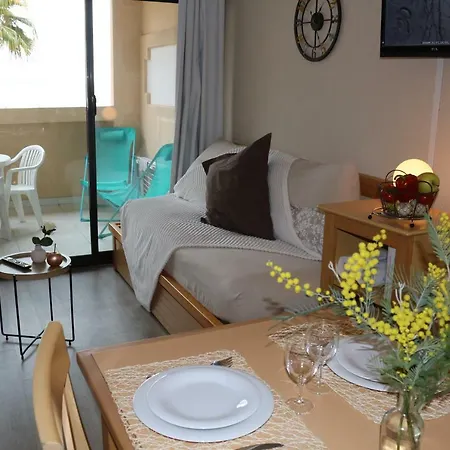 Palm D'azur Apartment