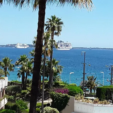 Palm D'azur