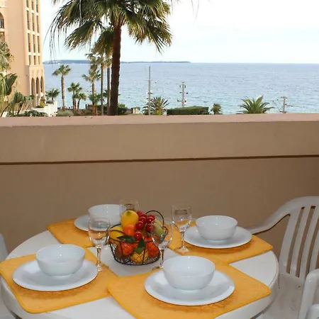 Palm D'azur